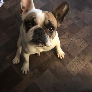 Meet your Posher, Mindy